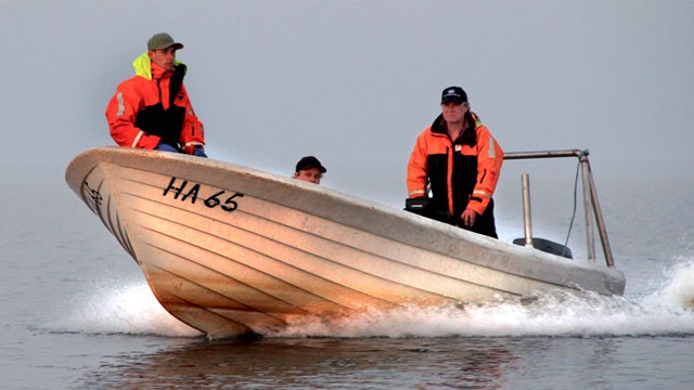 Images Guldhaven Pelagiska AB