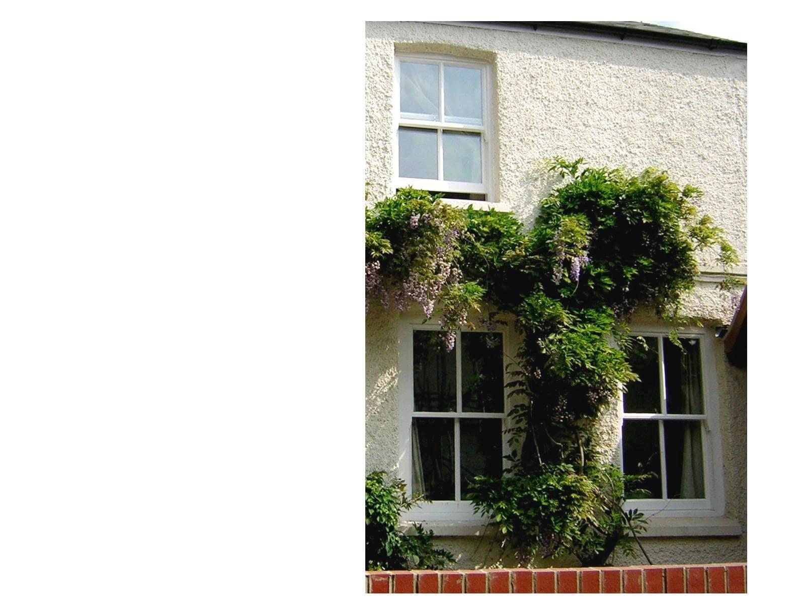 Images The Classical Sash Window Company