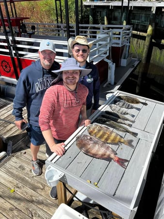 Images Eastern Tailz Outfitters