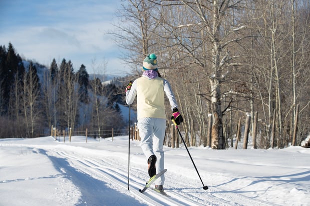 Images Backcountry Safaris