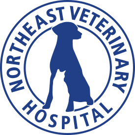 Northeast Veterinary Hospital - Seattle, WA 98115 - (206)523-1900 | ShowMeLocal.com