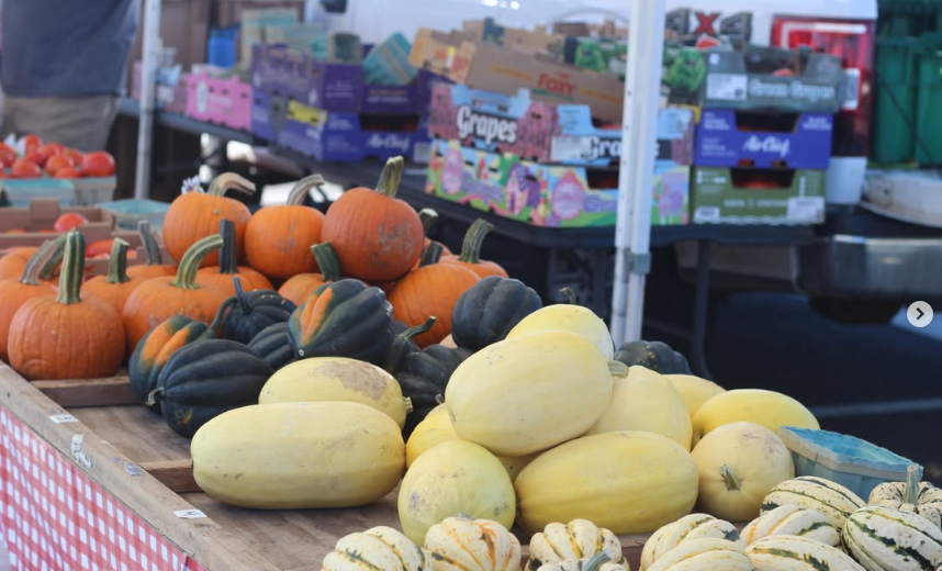 A festive autumn farm stand table arranged with small orange pumpkins, dark green acorn squash, pale yellow spaghetti squash, and striped delicata squash.