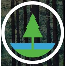 Bayside Tree Logo