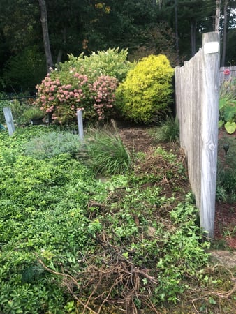 Images Greenleaf’s Garden Design