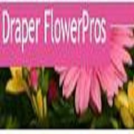 Draper Flower Pros Logo