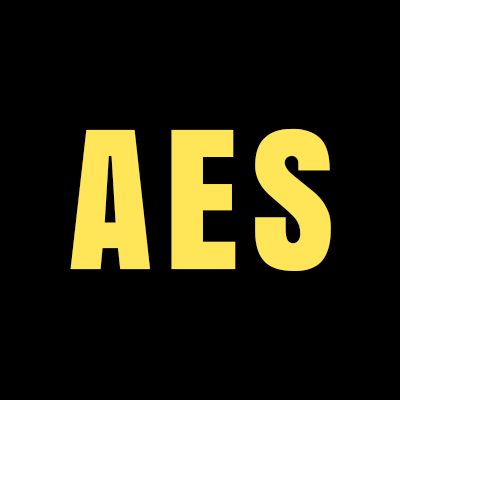 Access Electrical Service LLC Logo