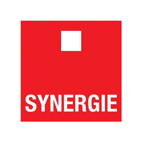 Synergie Wetteren interim Logo