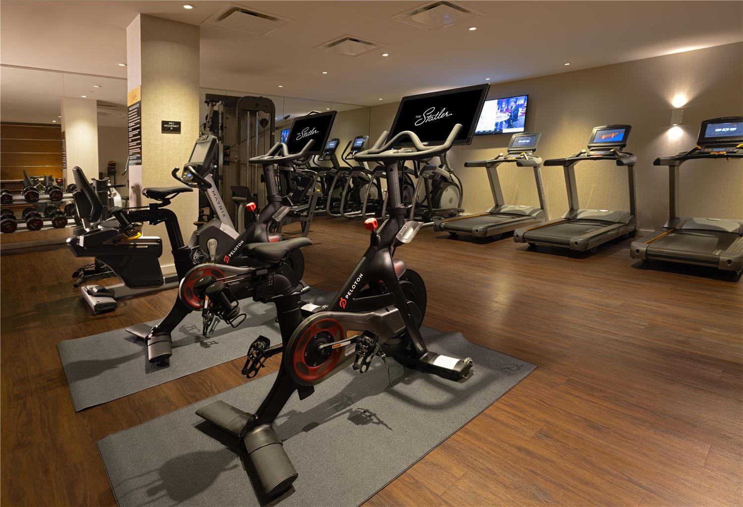 Health club  fitness center  gym