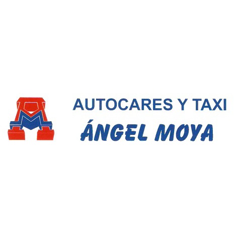 Autocares y Taxi Ángel Moya Logo