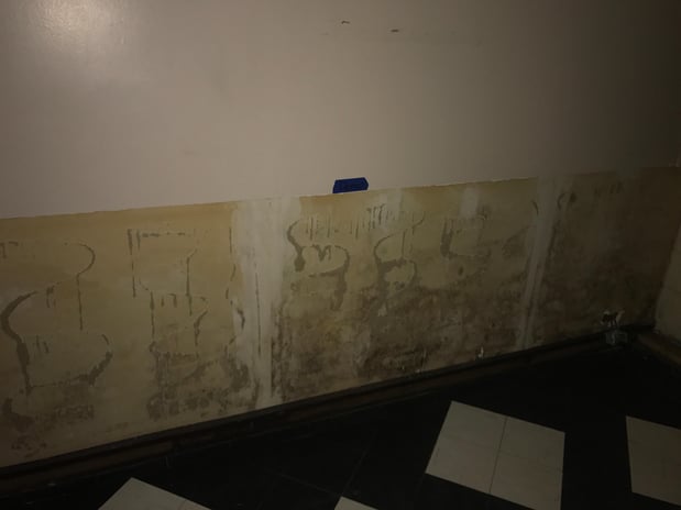 Images Rex Environmental