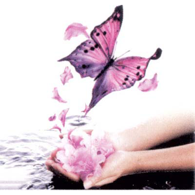 Images Arte Style