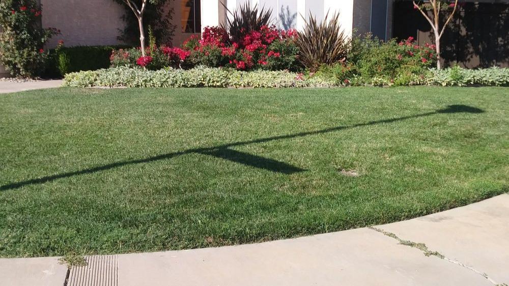 5 Star Gardening is your premier lawn care company, dedicated to providing top-quality services to keep your lawn vibrant and healthy. With a team of experienced professionals and a commitment to customer satisfaction, we offer a wide range of lawn care solutions tailored to your specific needs and preferences.