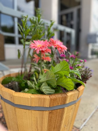 Images Inland Networks