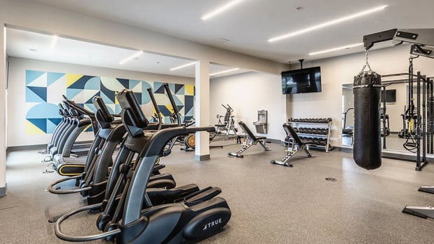 Images AYR Apartments