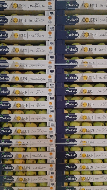 Images Il Meglio Del Meglio