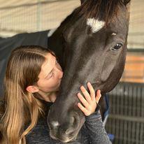 Image 2 | Sandrine Seifert Equestrian