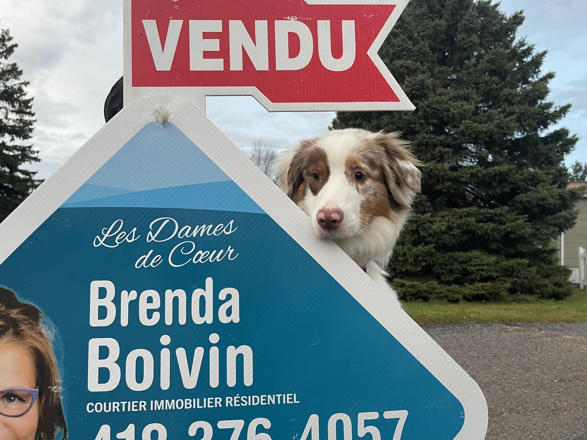 Images Brenda Boivin - Courtier Immobilier - Agent immobilier Chicoutimi