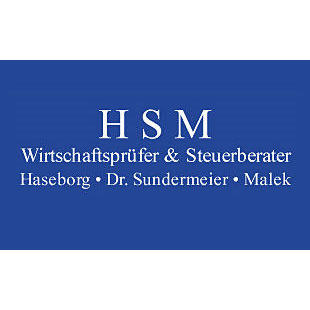 Logo HSM Steuerberater
