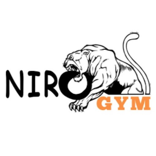 Logo Niro Gym