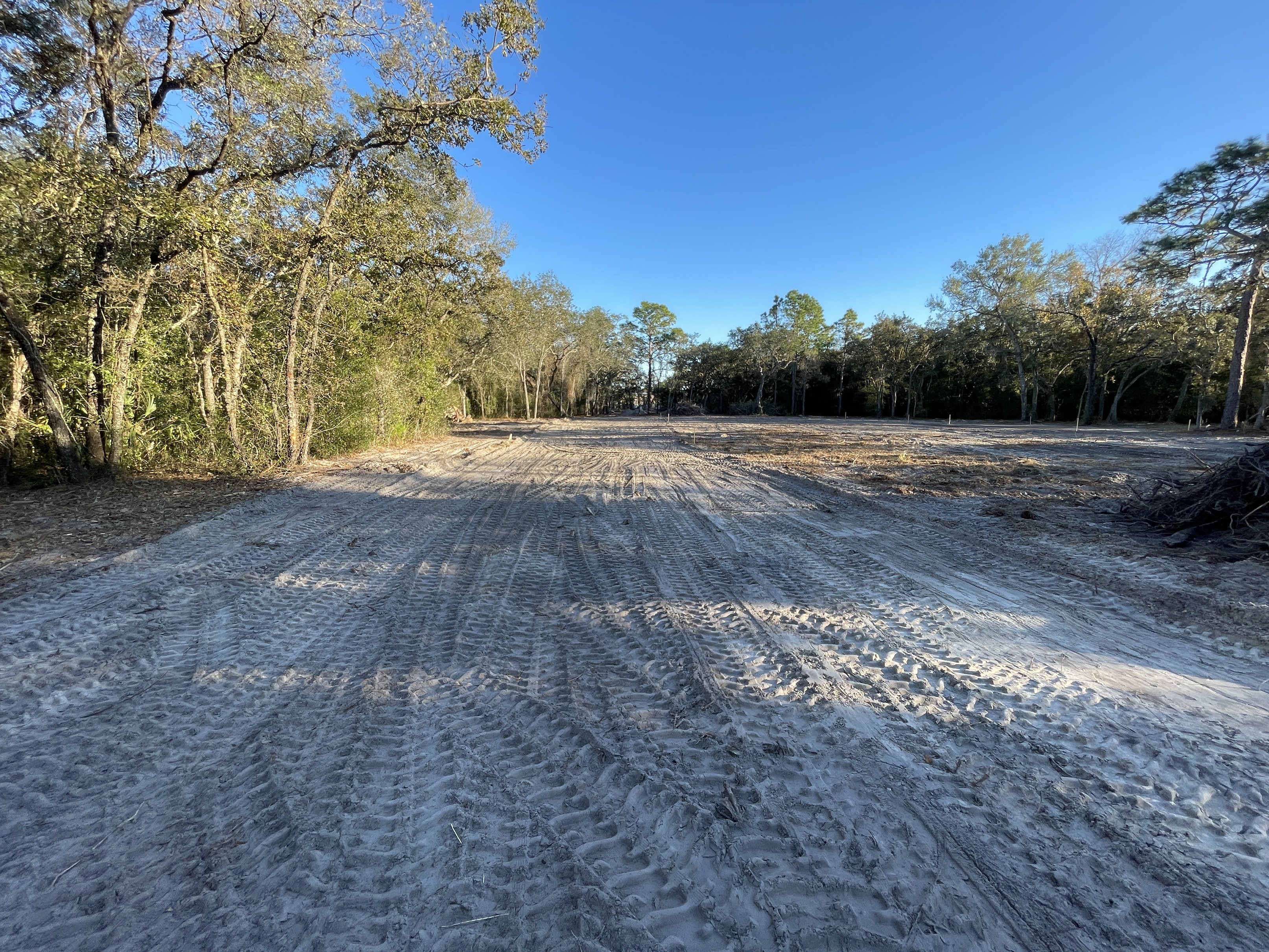 Land-clearing / Tree removal