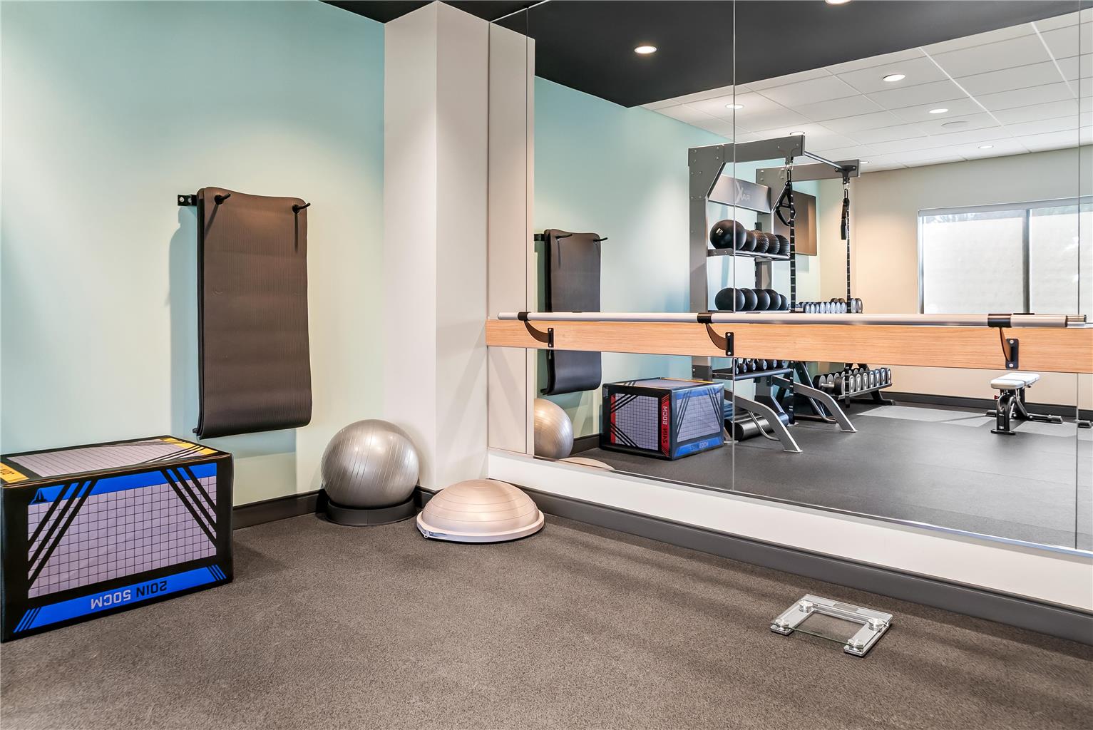 Health club  fitness center  gym