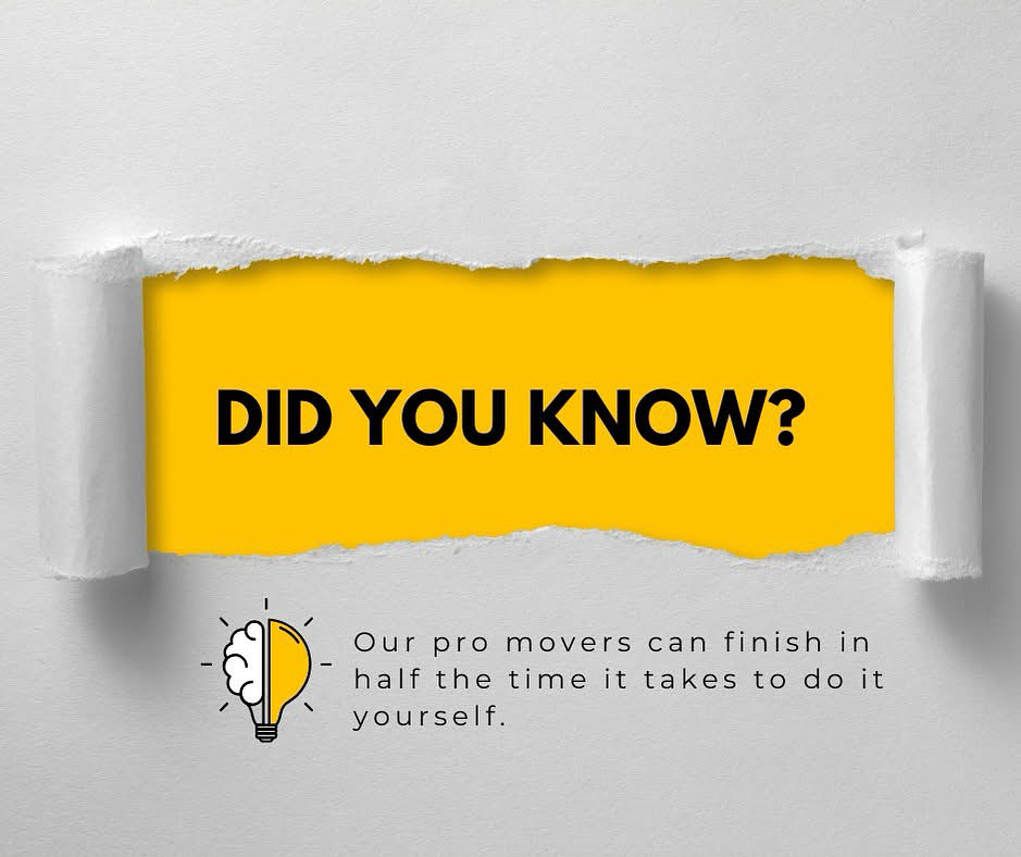 Images My City Movers | Surrey Movers