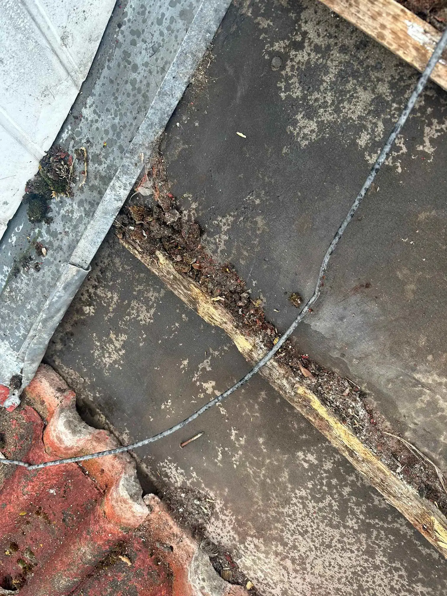 Images DB Roofing and Maintenance