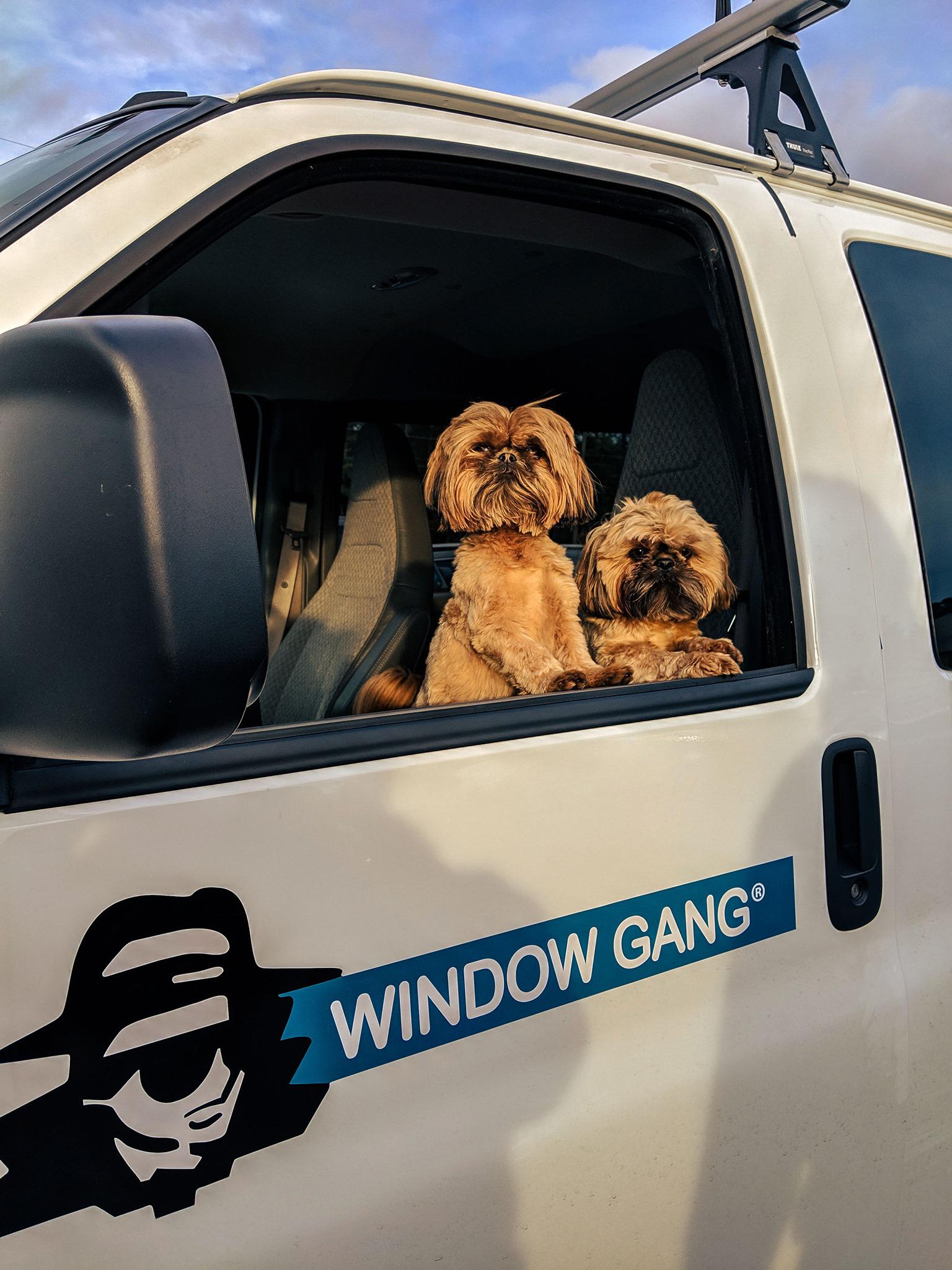 Window Gang - Hickory, NC