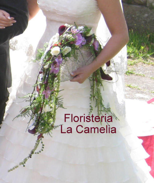 Images Floristería La Camelia