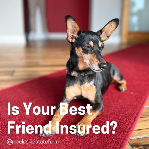 Images Mike McClaskie - State Farm Insurance Agent