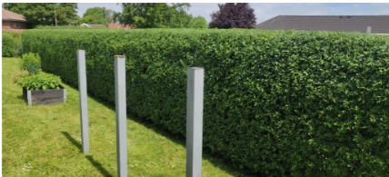 Images Rosendal Anlægsgartner