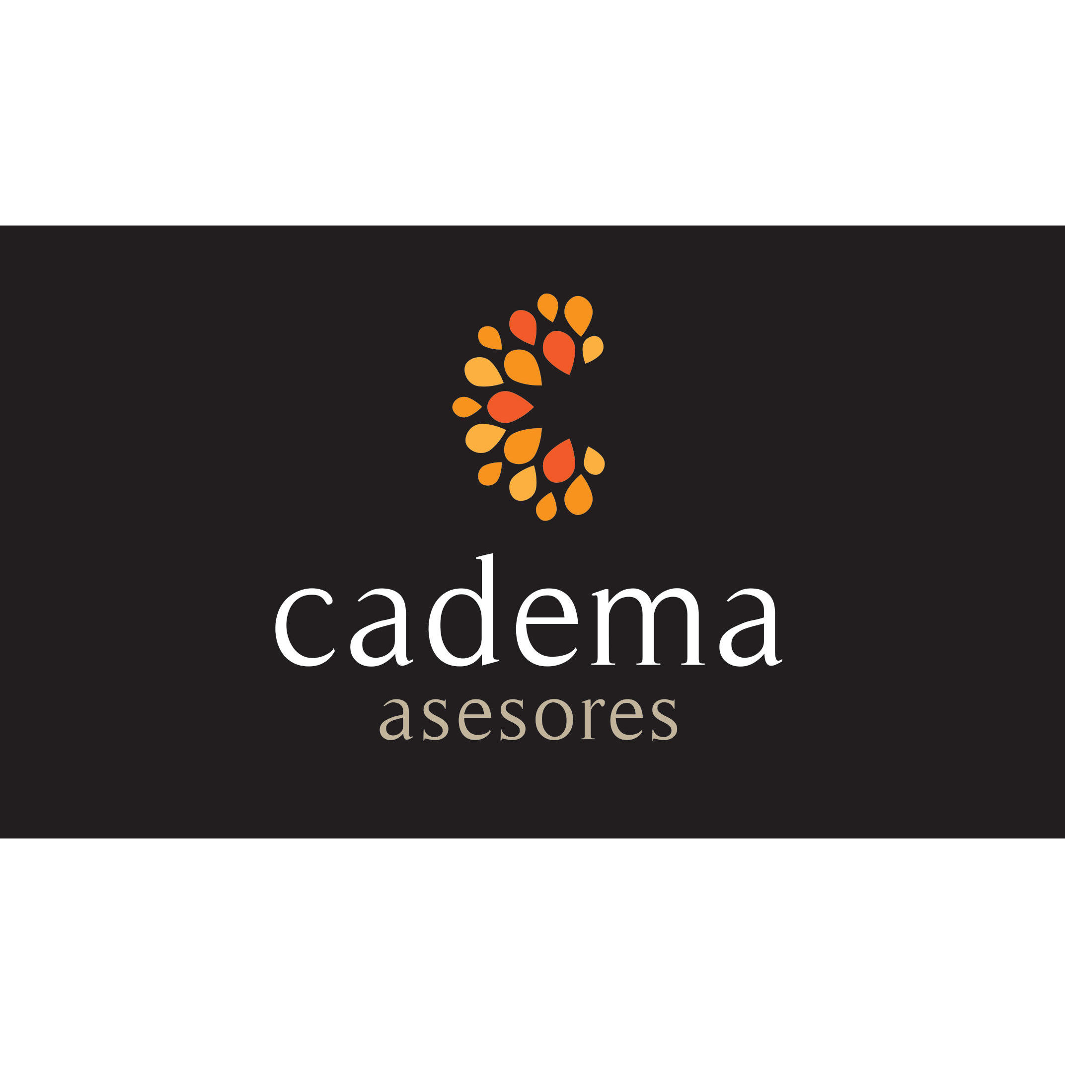 Cadema Asesores Logo