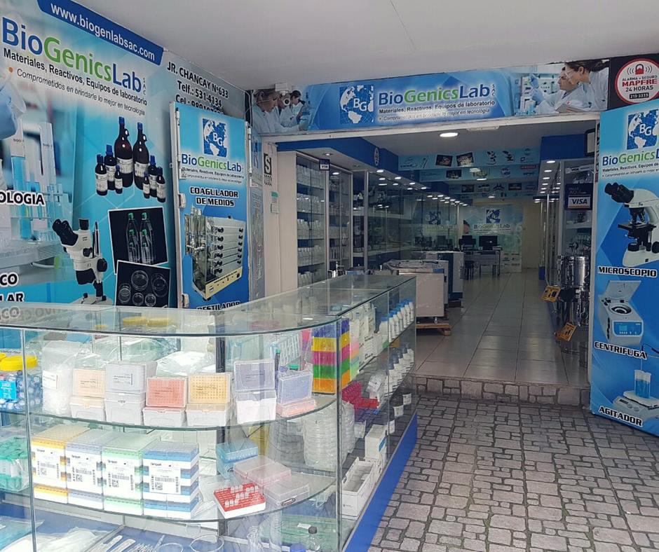 Galería en miniatura