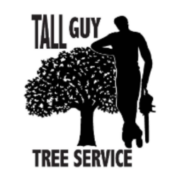 Tall Guy Tree Service