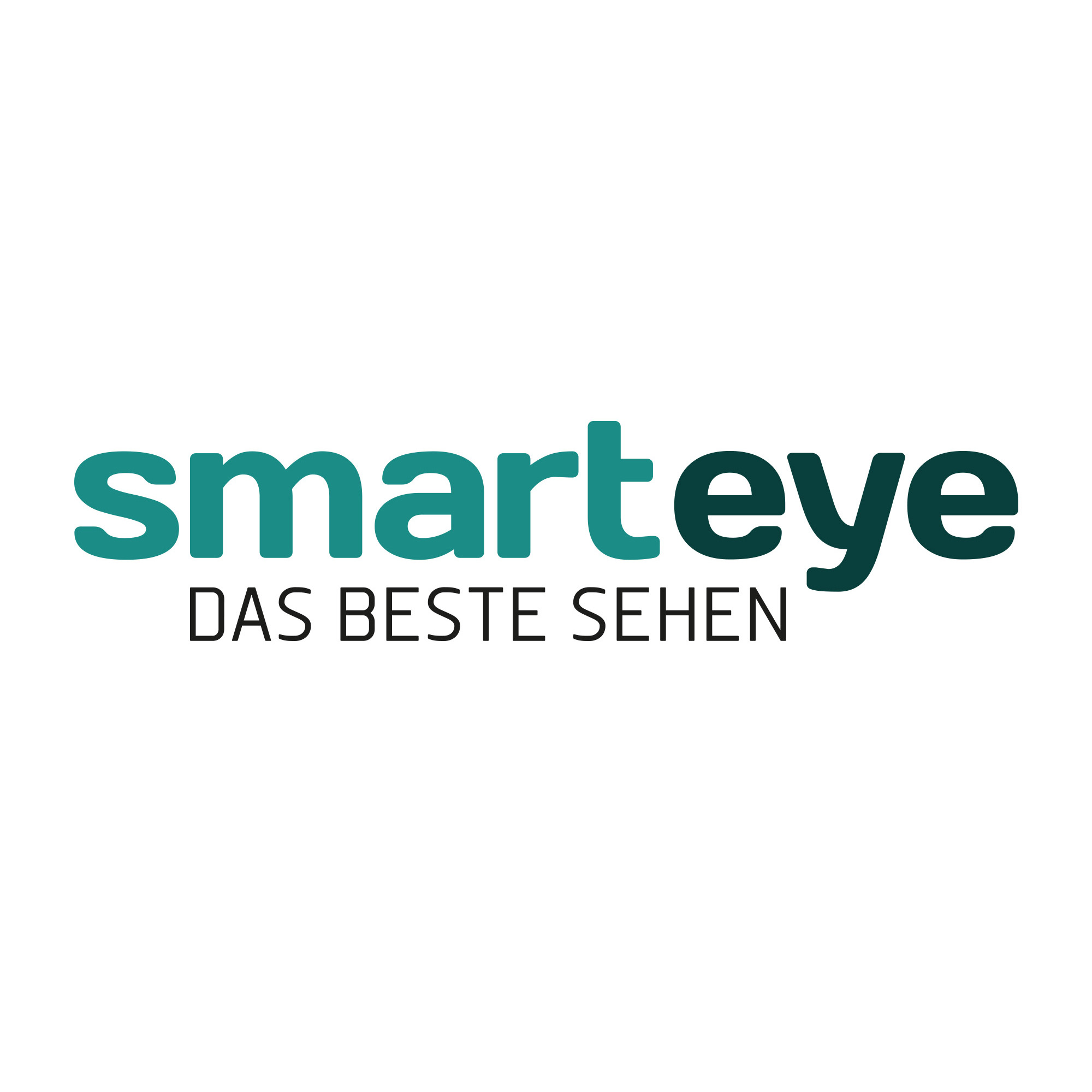 Logo Smarteye Verden
