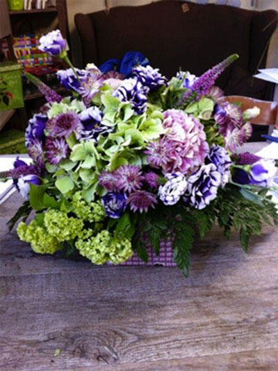 Images Fiori e Piante di Castellani Amedeo e Cristina -Lovely And Flowers