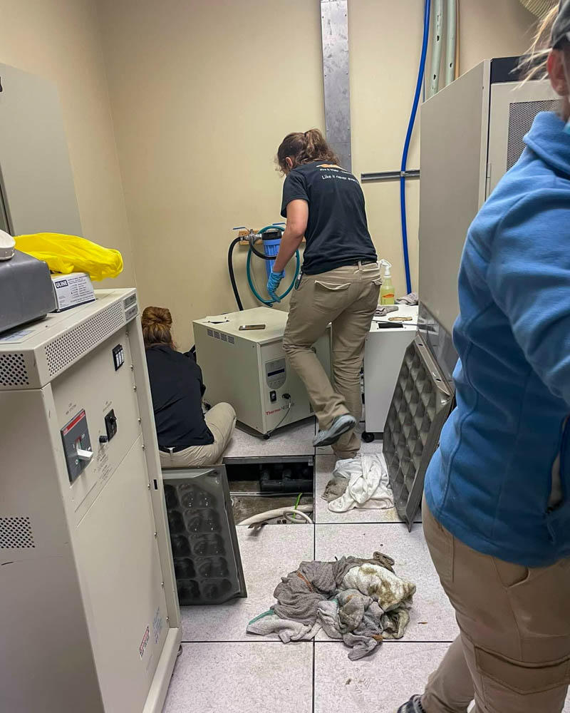 SERVPRO technicians are certified in water extraction services, meaning they are trained experts who can quickly and carefully remove excess moisture caused by flooding or leaks. We also use state-of-the-art drying equipment to ensure your belongings are dry and safe before we leave.