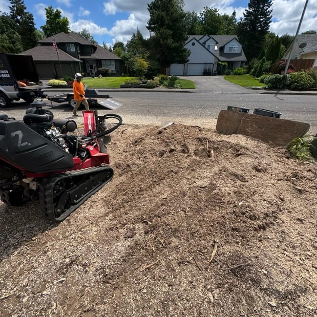Images Alexa's Tree Service
