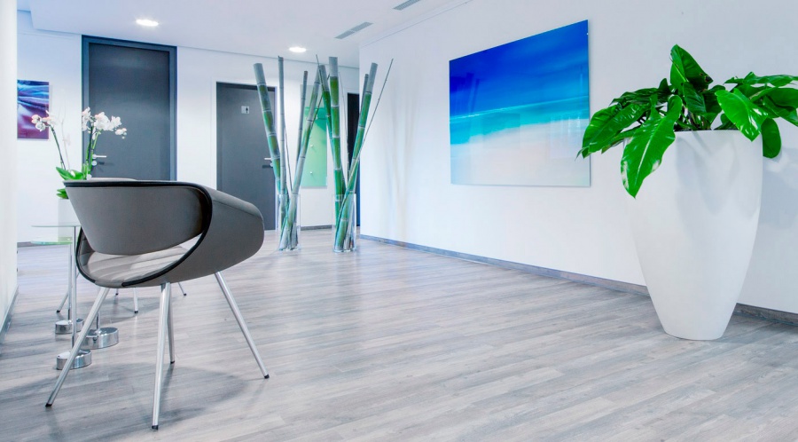 Dr. med. dent. M.Sc. Gregor Mowius, Königsallee 60 d in Düsseldorf