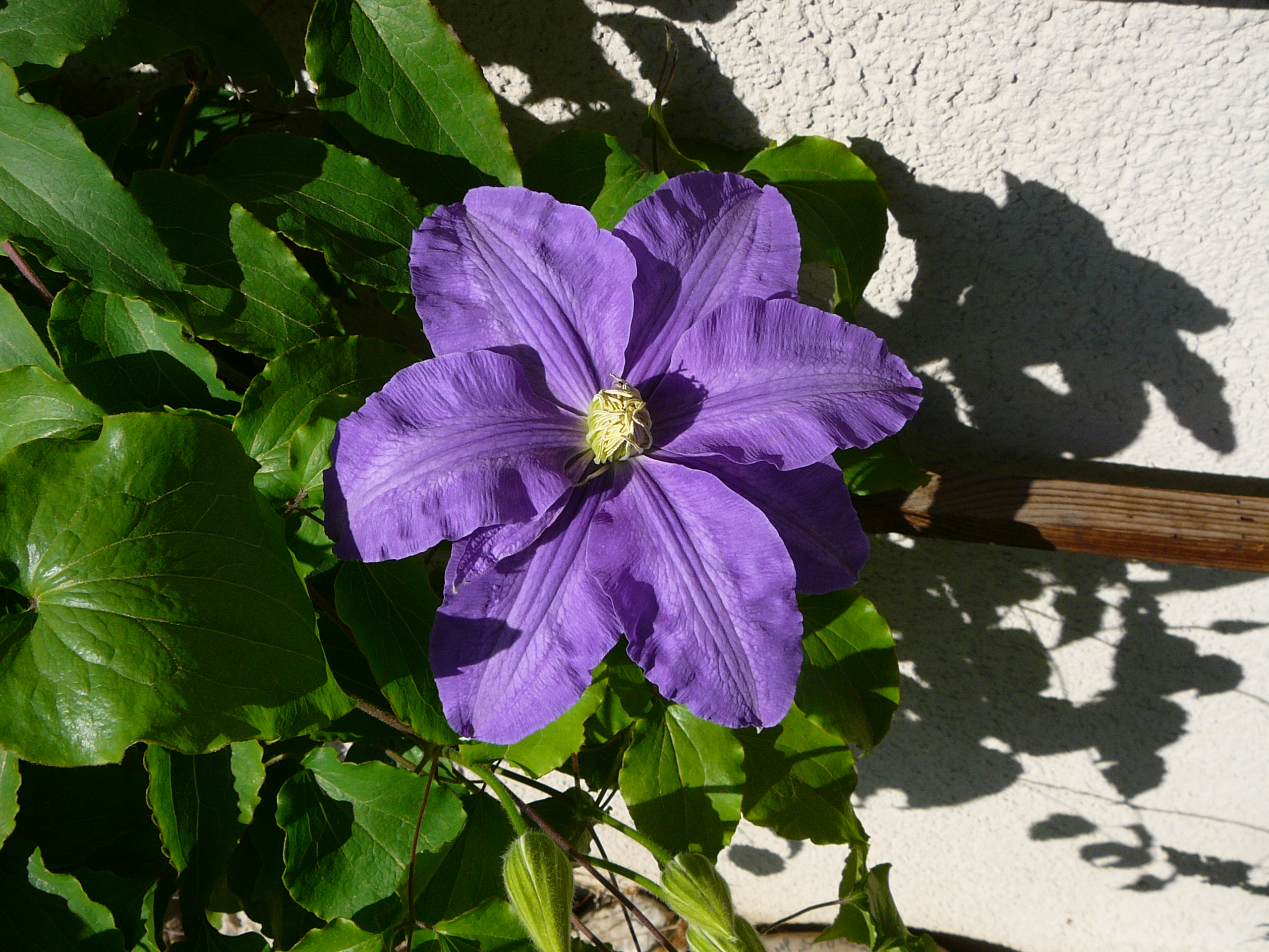 Maurer Gartenbau Inh. Peter Jenni, Alpenweg 8 in Grosshöchstetten