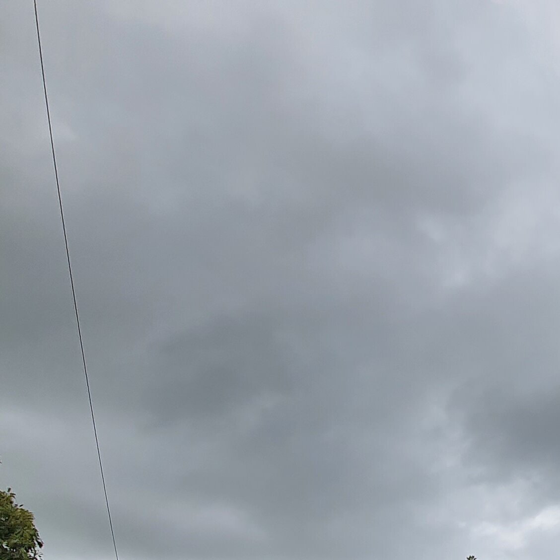 Images MM Roof Cleaning Services (MMRCS)