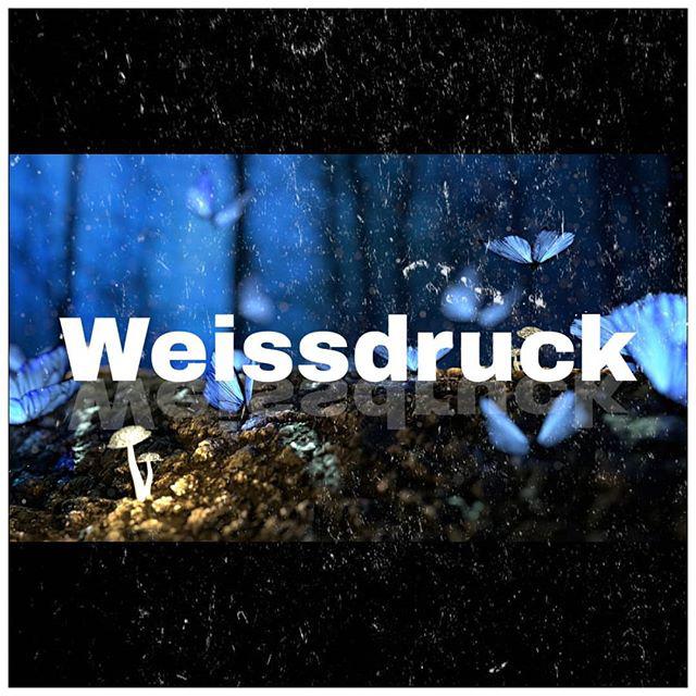 Druckhuus GmbH, Forchstrasse 41 in Zürich