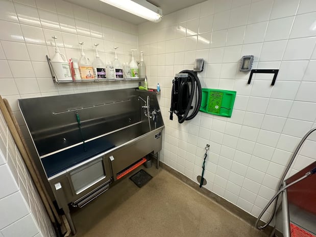 Images Petco Grooming