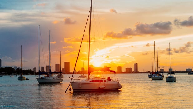 Images Kimpton Hotel Palomar South Beach by IHG