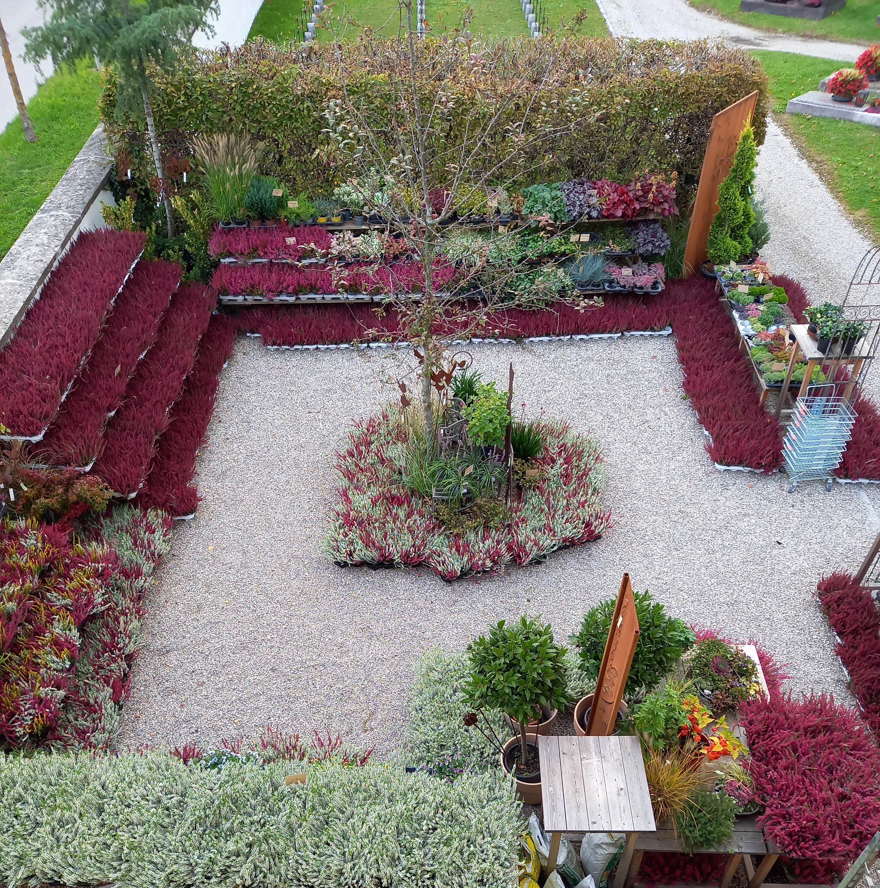 Bild 8 von Grün-Zone