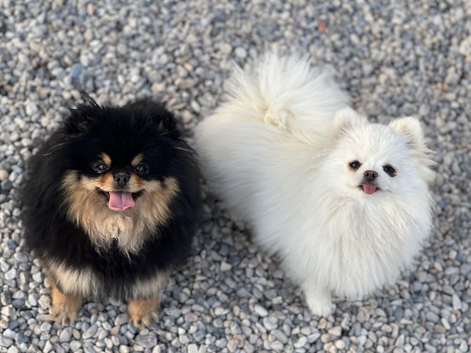 Images Olimpo De Zeus