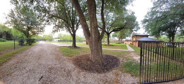 Images VCA Prestonwood Animal Hospital