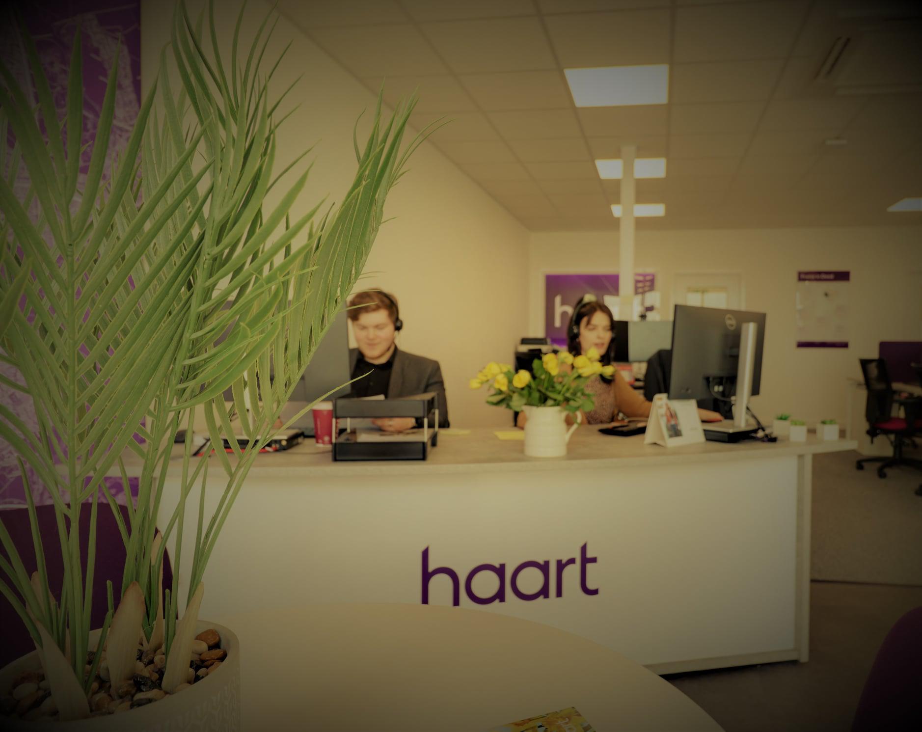 Our team's front desk! haart Estate And Lettings Agents Aylesbury Aylesbury 01296 256069