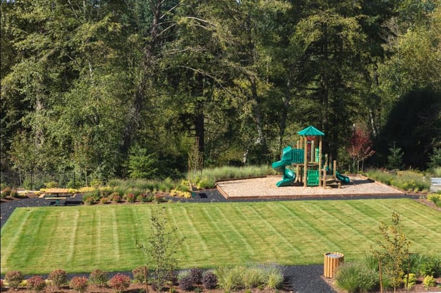 Images Toll Brothers at Maple Hills