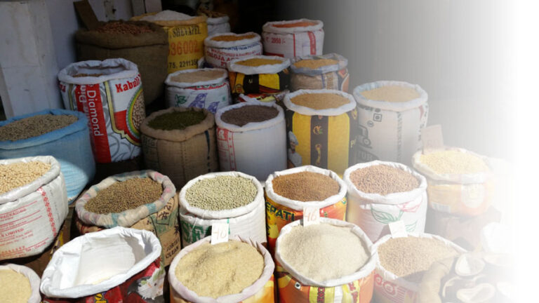 SanaBio GmbH, Geschwister-Scholl-Strasse 143a in Schönebeck